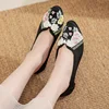 Women's Retro Pointed Toe Embroidered Slip-On Dress Pumps Low-Heeled Summer Spring Dance Shoes for Ladies 2