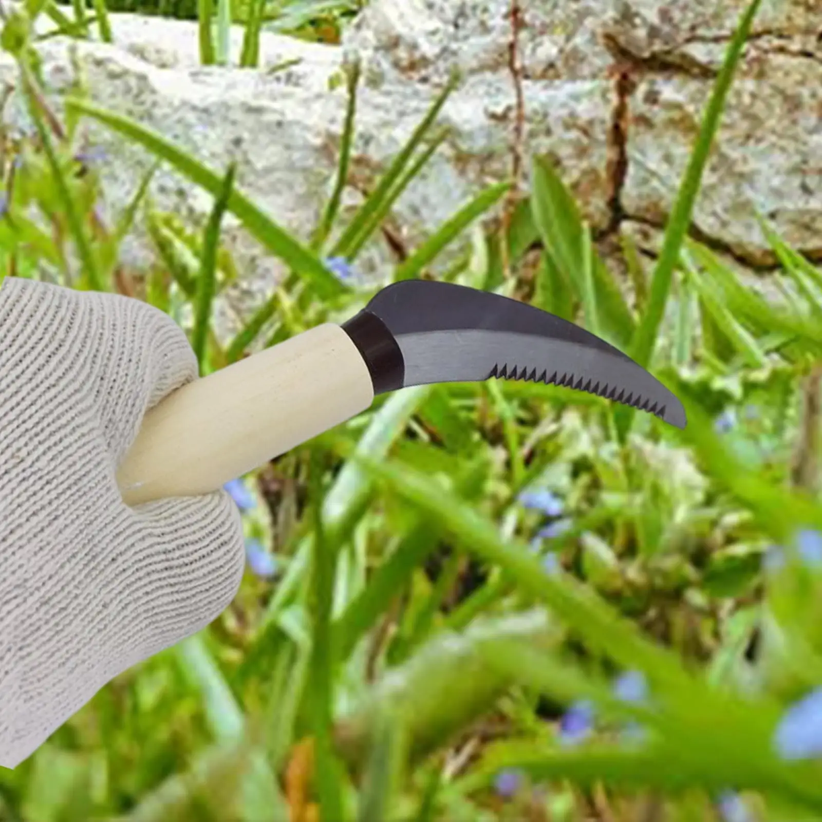 Weeding Sickle with Wooden Handle Crack Weeder Gardening Hand Tools Gardening Sickle for Lawn Patio Terrace Sidewalk Farm 3