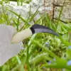 Weeding Sickle with Wooden Handle Crack Weeder Gardening Hand Tools Gardening Sickle for Lawn Patio Terrace Sidewalk Farm 3