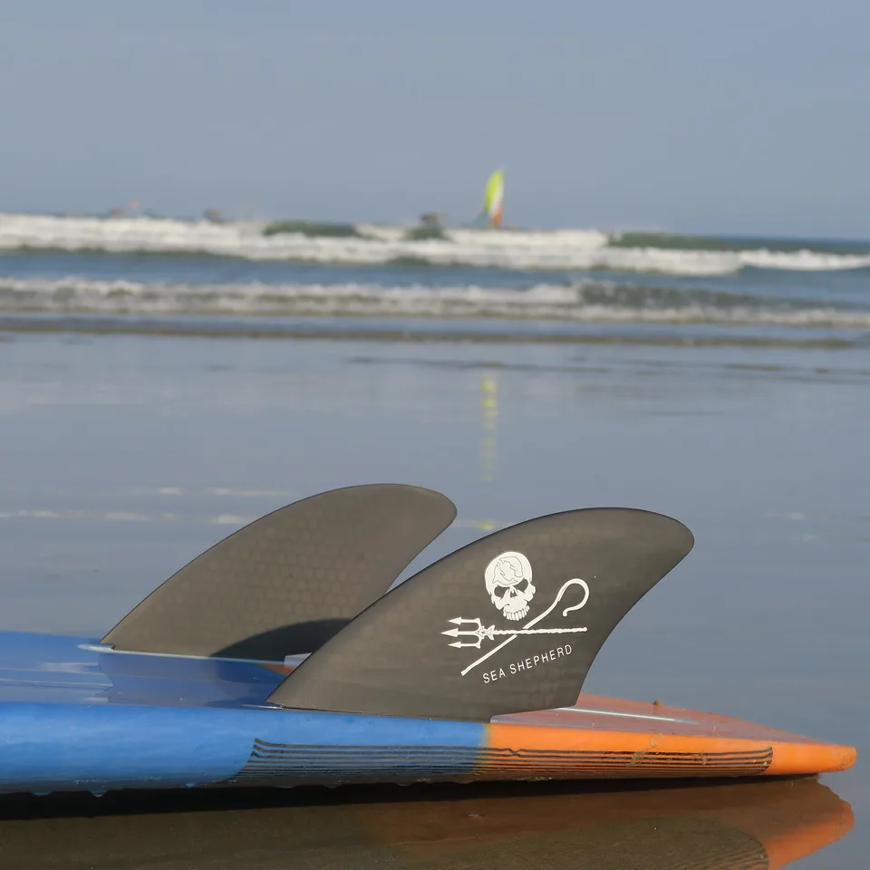 2枚セット ロングボードフィン SEA SHEPHERD サーフボードフィン 2枚