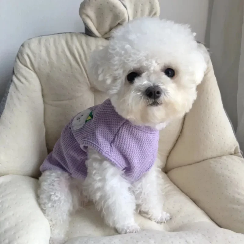 thumbnail image 1 of Chaleco de verano fino y transpirable para mascotas, para perros, gatos, osito de peluche, bichón, pomerania, muñeca de tela, abrigo para perro, 1 of 5
