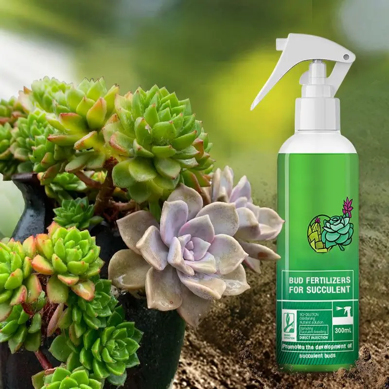 

Succulent plant Eugenin promotes budding, succulent, and succulent 300ml