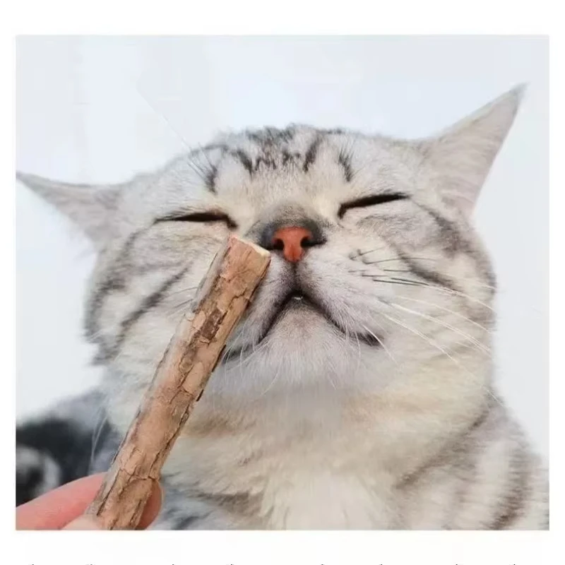 Bastoncini da Masticare alla Catnip 20 Pezzi, Giocattoli Naturali per Gatti - per la Pulizia dei Denti e l'Intrattenimento dei Gattini - immagine 2