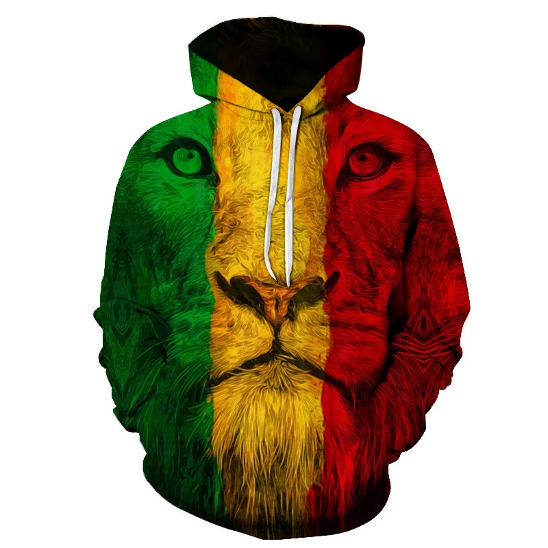 

2024-3D Hooded Sweater Picture Armor Men's Women's Spring Unisex Animal Tops Kids Street Wear Jumpers Casual