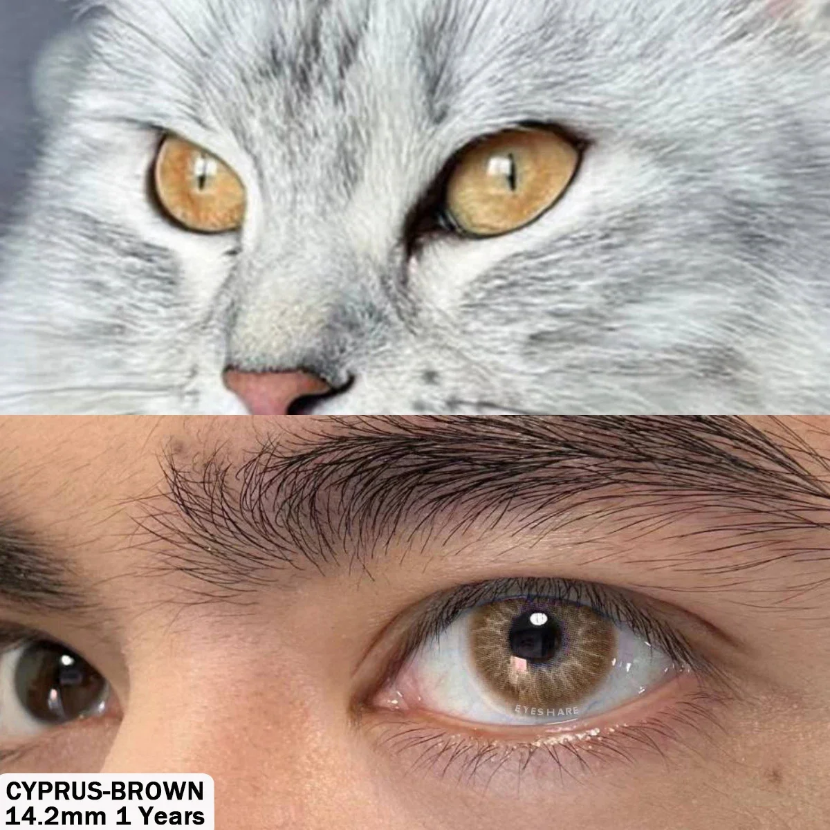 Vibrant Colored Contact Lenses - Cyprus Blue & Natural Gray 1 Pair