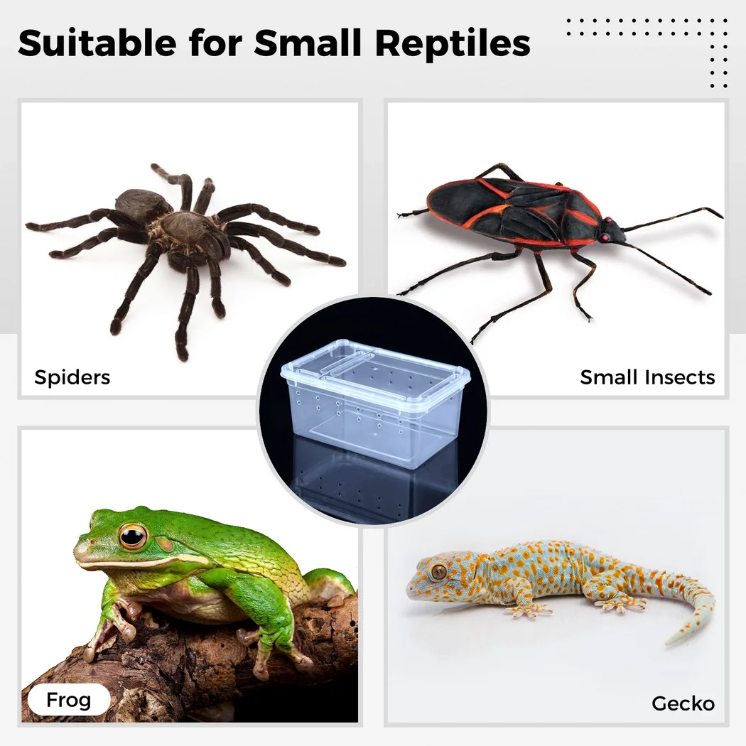Insect Spider Terrariums Aquarium Tank Vivarium Box 8Pcs/Set For Reptile Spider Scorpion Centipede