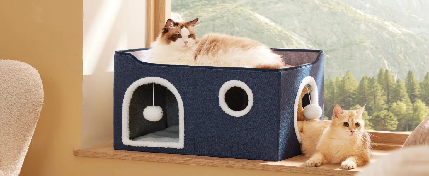 widen cat house