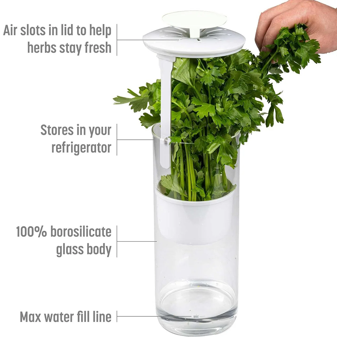 Vegetable Freshness Keeper Plastic Storage Container – Airtight Cilantro Box Refrigerator Organizer Herbs Greens Leafy Veggies