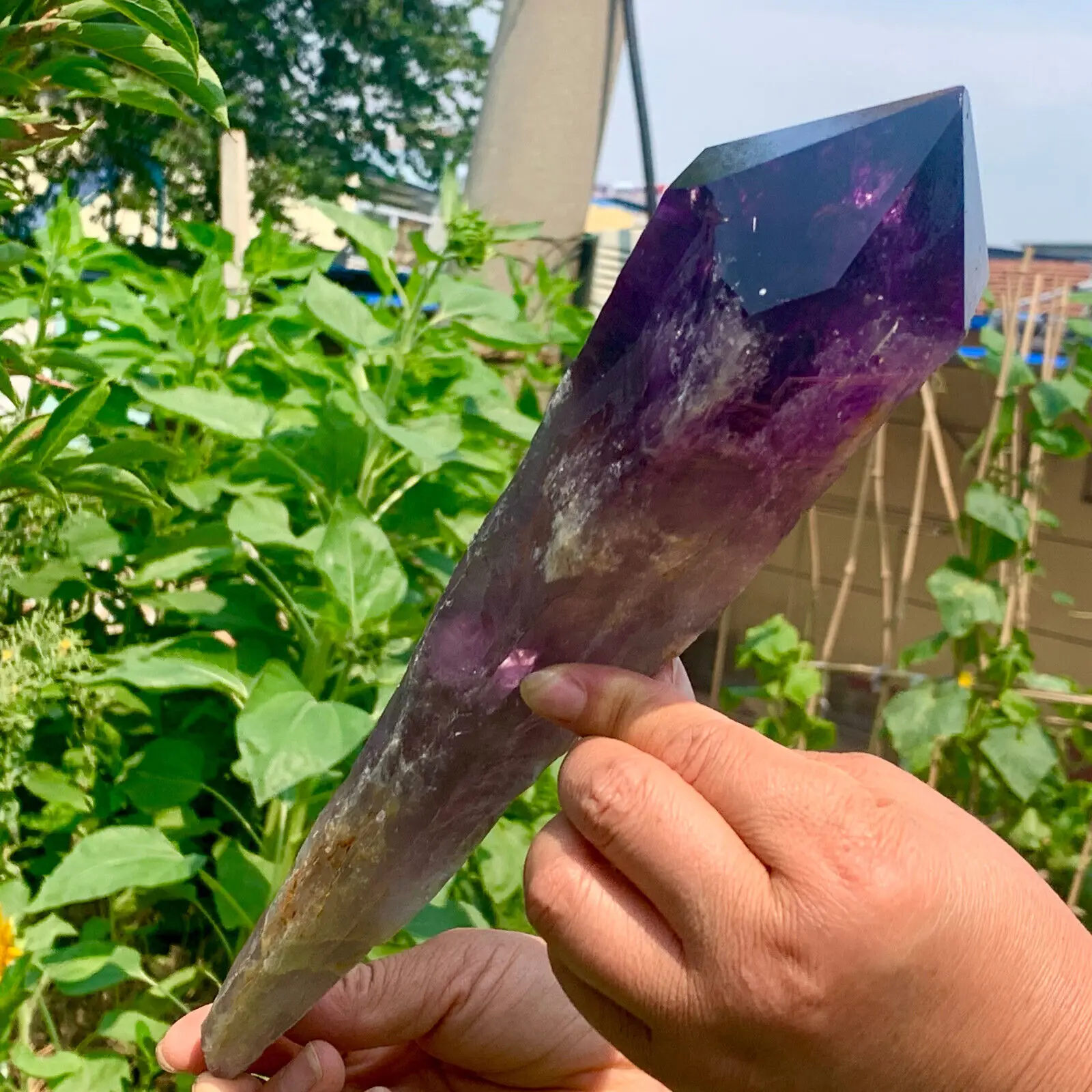Magical Natural Uruguayan Amethyst Backbone Purple Quartz Crystal Scepter Treatment Home Demagnetization Decorative Energy Gem 6