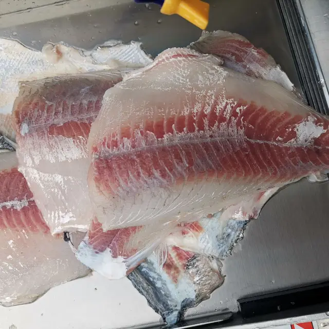 전기 오징어 필링 기계와 잔디 잉어 필링 기계에 대한 상품 정보