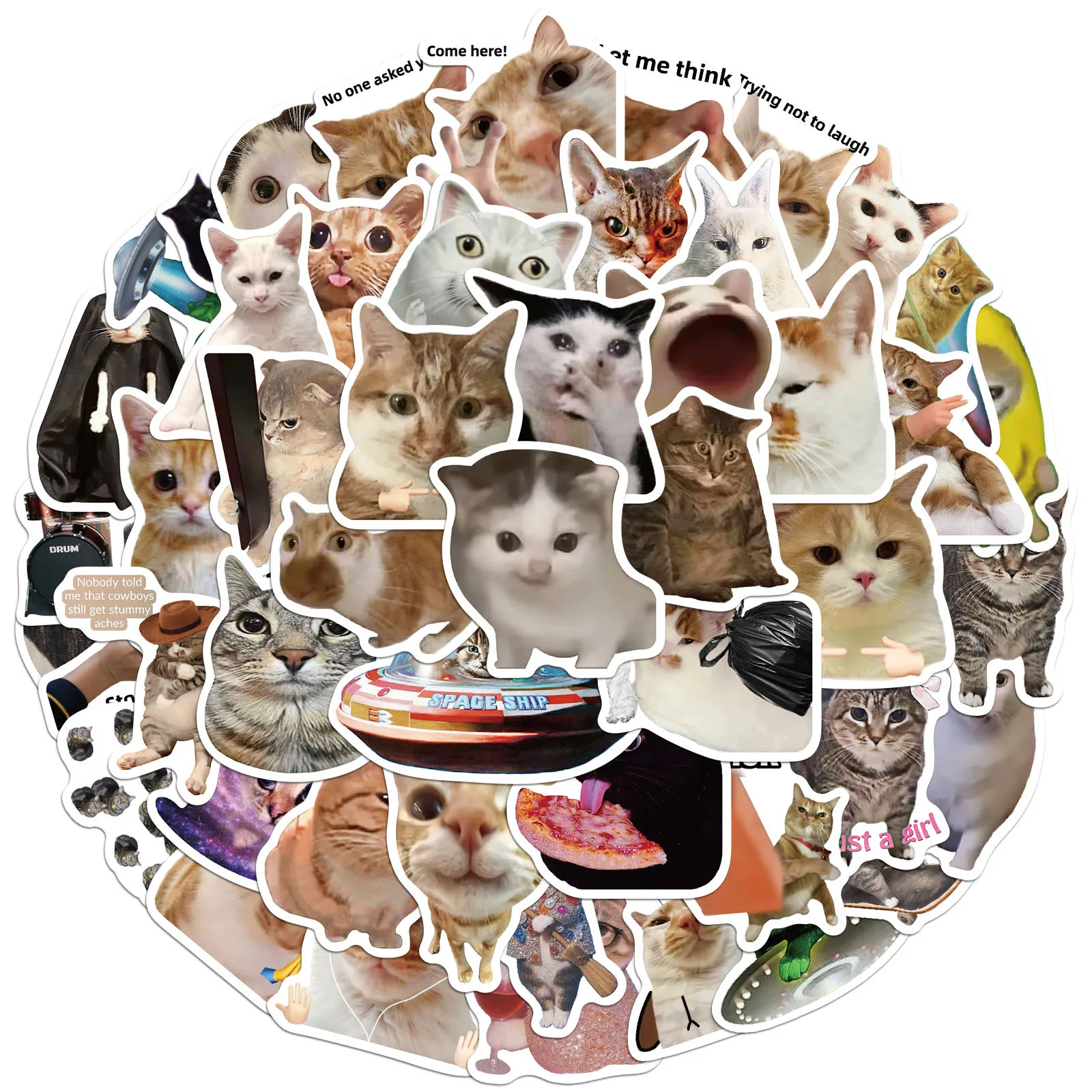 50Pcs Funny Cat Meme Stickers Pack Cute Graffiti Vinyl Stickers for Water Bottles Laptops Phones Case DIY Decoration