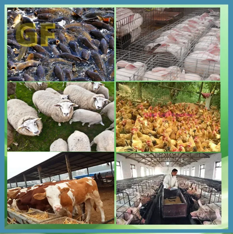 150-200kg/h Pellet Mill Feed Food Pellet Making Machine Electric Animal Feed Granulator for Grain Straw Fish Chicken Pig Poultry