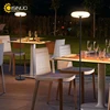 Outdoor Floor Lamp Solar Powered Light 4400 mAh Rechargeable Battery Cordless Light USB-C Charged IP54 Lamp for Lawn Pool Garden 1