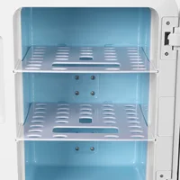 20л мини-холодильник портативный холодильник для хранения косметики подогреватель еды/охладитель для напитков и лекарств холодильник для лодки, дома, автомобиля — изображение 6