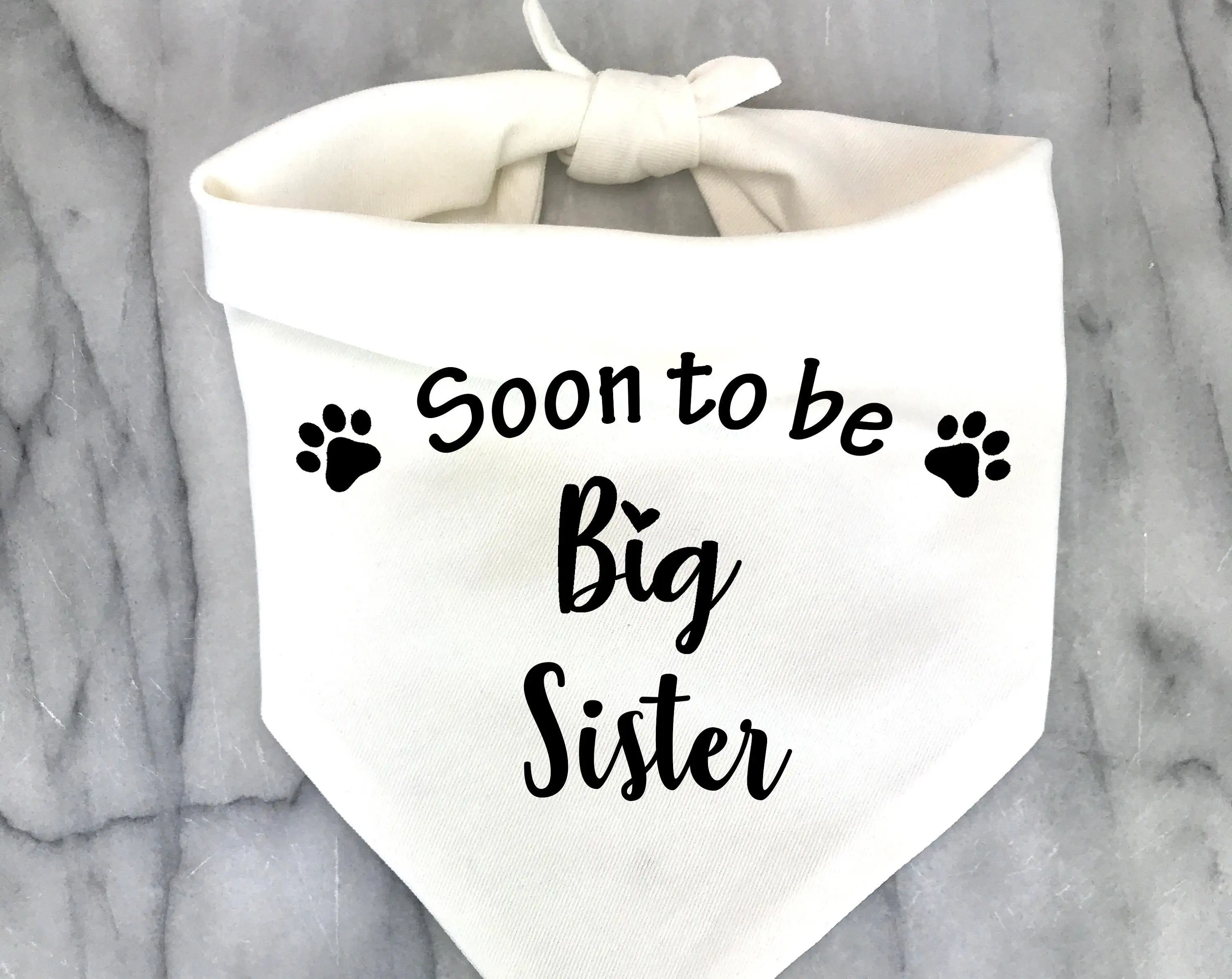 SoonToBeBigSisterBroDogBandanaPregnancyAnnouncementPhotos