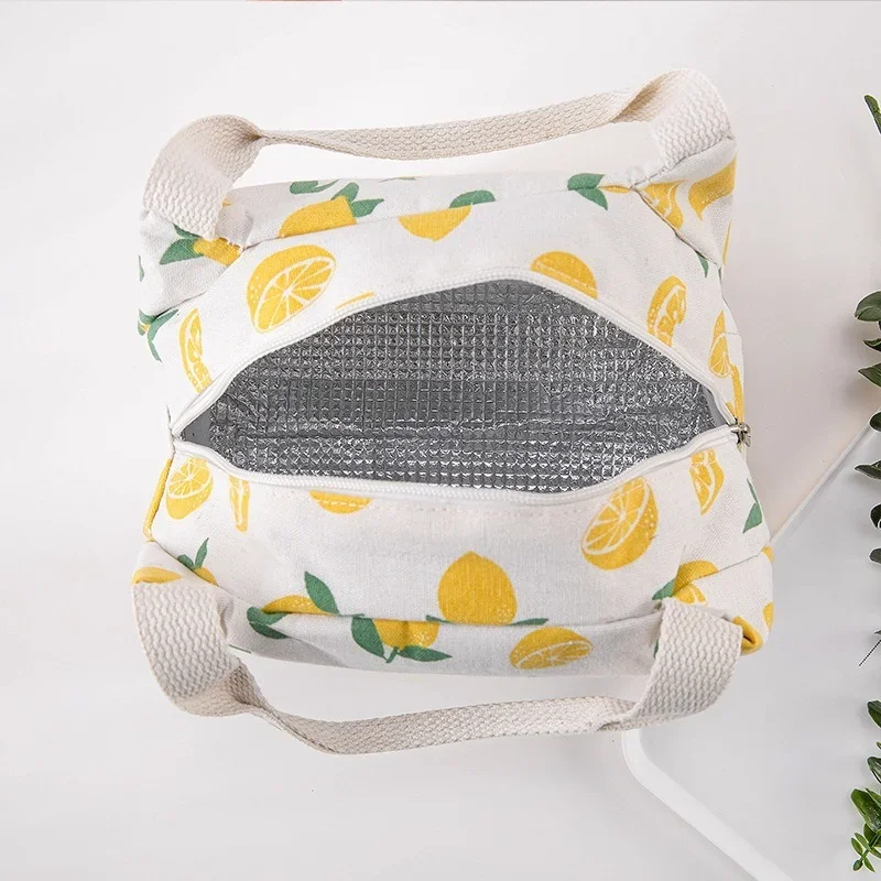 Insulated Thermal Lunch Bag for Women and Children - Portable Picnic and Travel Food Tote