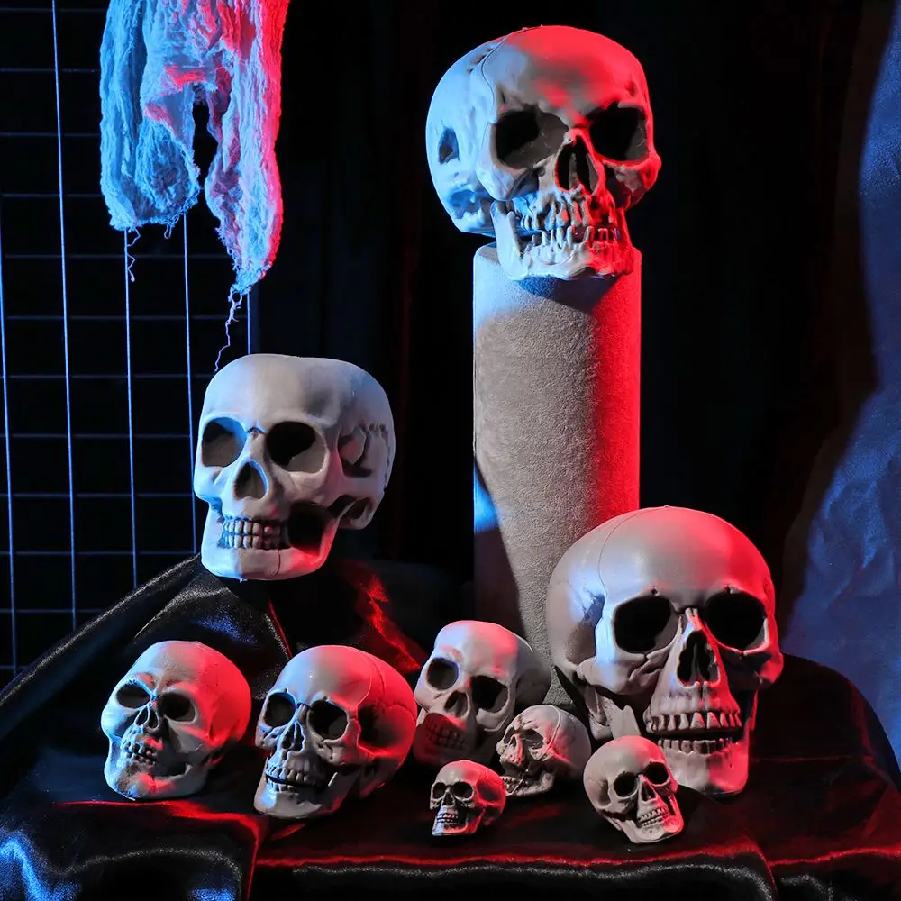 Realistic human skull Halloween decor