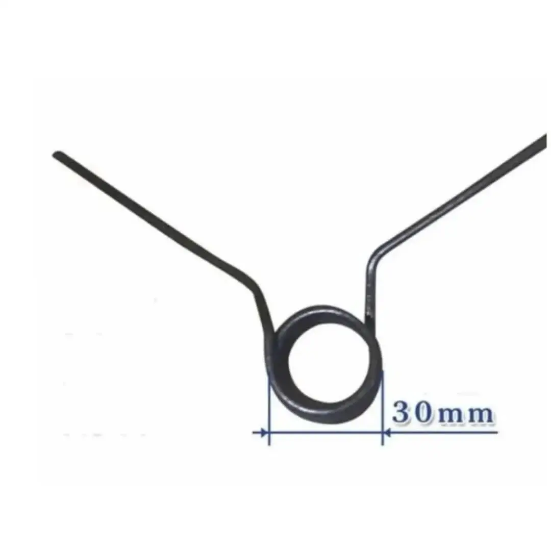 Set Di 2 Molle Per Smontagomme - Per Valvola Pneumatica E Cambio Pneumatici - In Metallo Durevole - Colore Nero