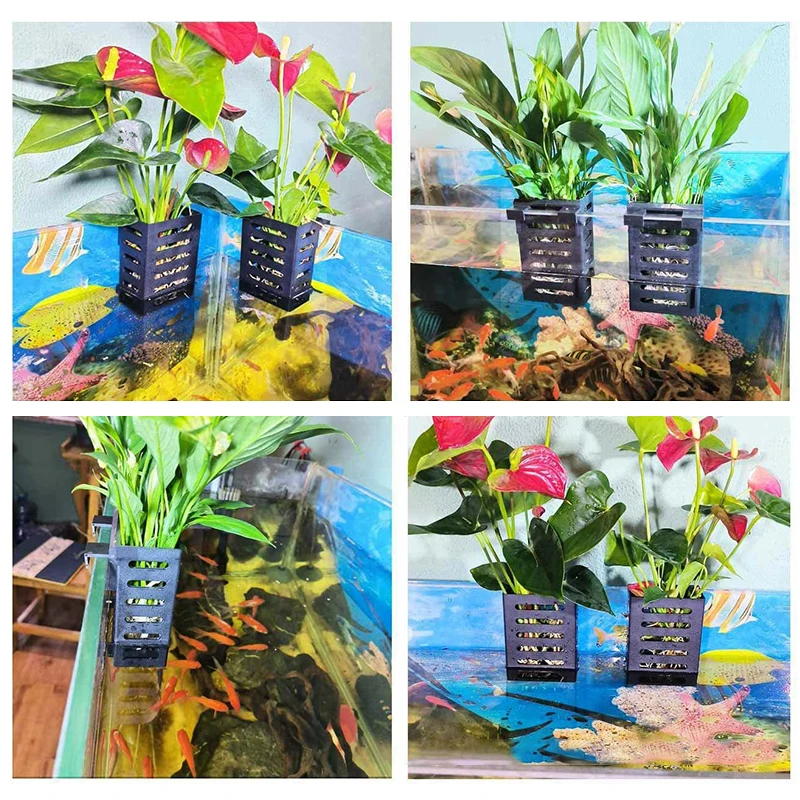 Aquarium Fish Tank Plant Holder with Hooks and Suction Cups for Emersed Plants Suitable for Aquatic Plant Cultivation Decoration