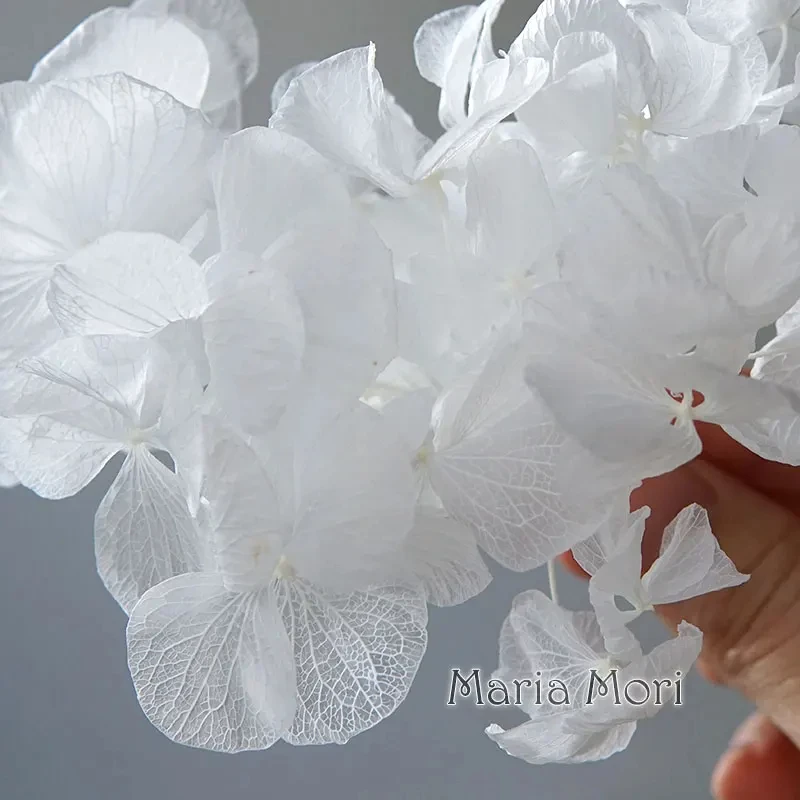 thumbnail image 1 of Nueva variedad de flores secas de hortensia de pétalos grandes, flores preservadas de macrophylla, decoración para el hogar y la oficina, decoración de bodas, regalo, 1 of 4