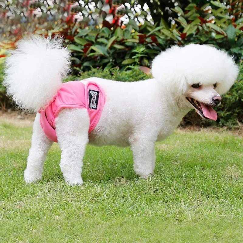 Reusable Female Dog Diaper Shorts Washable Sanitary Menstrual Physiological for Medium Large Dogs Pants Safety Underwear Briefs