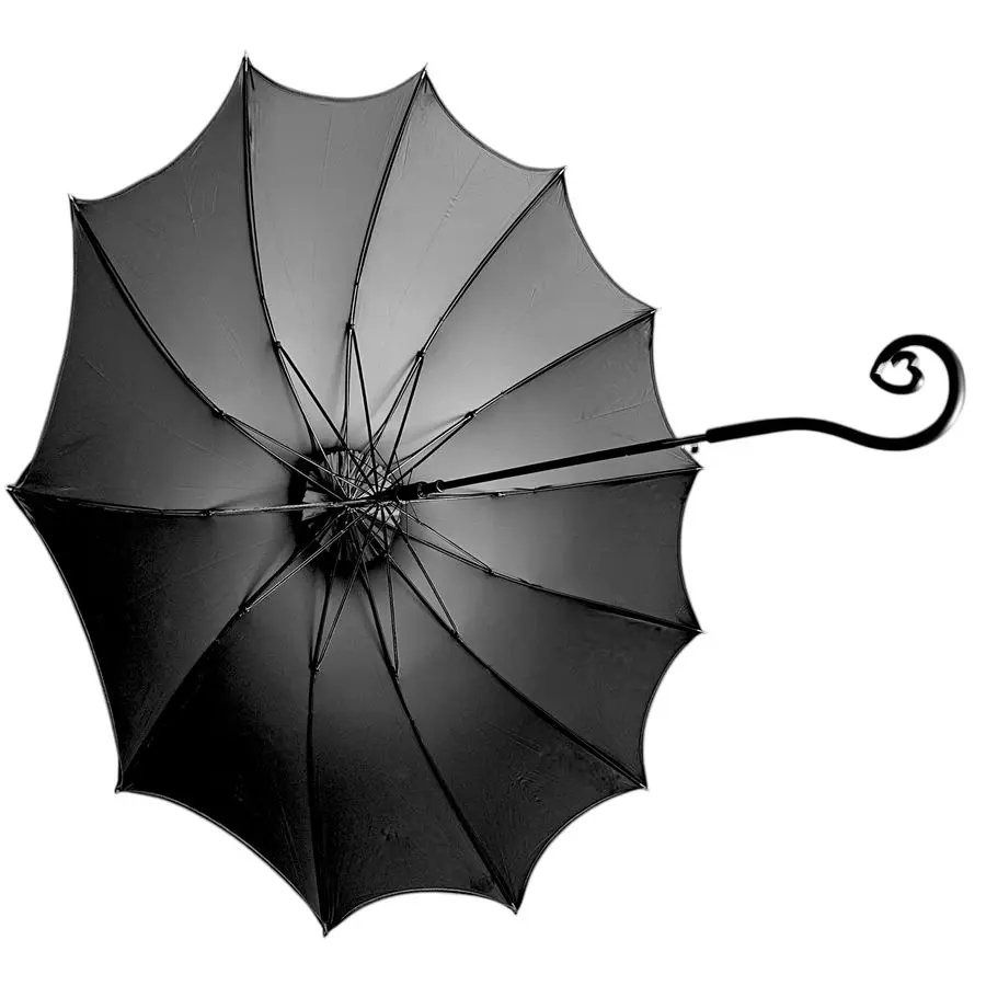 Wing Auto Open Umbrella with Heart of Darkness Handle Gothic Pagoda Top Design 12 Rib Windproof Waterproof UV Protection 41 Larg