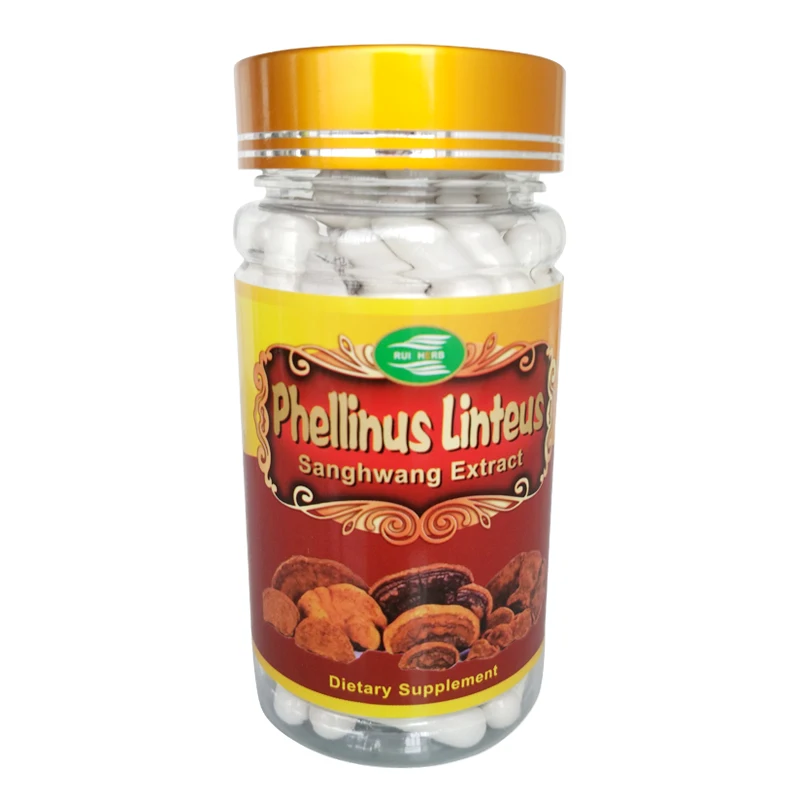 

Phellinus Linteus Mushroom Extracts 30% Polysaccharide Powder & Capsule