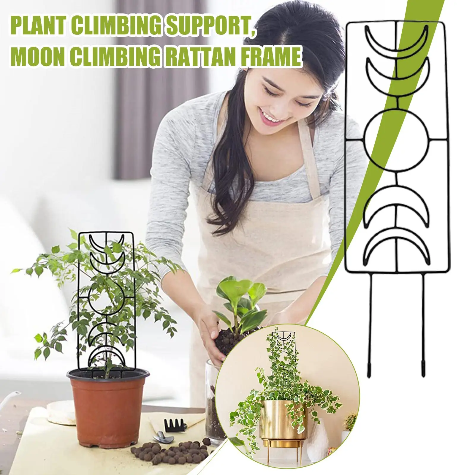 Moon Phase Trellis Indoor Plant Trellis Climbing Plant Small Garden