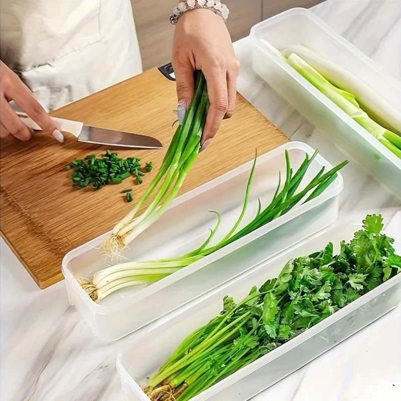 Reusable plastic vegetable storage container, square, hand wash, multi-purpose, clamshell, crisper, suitable for herbs 2