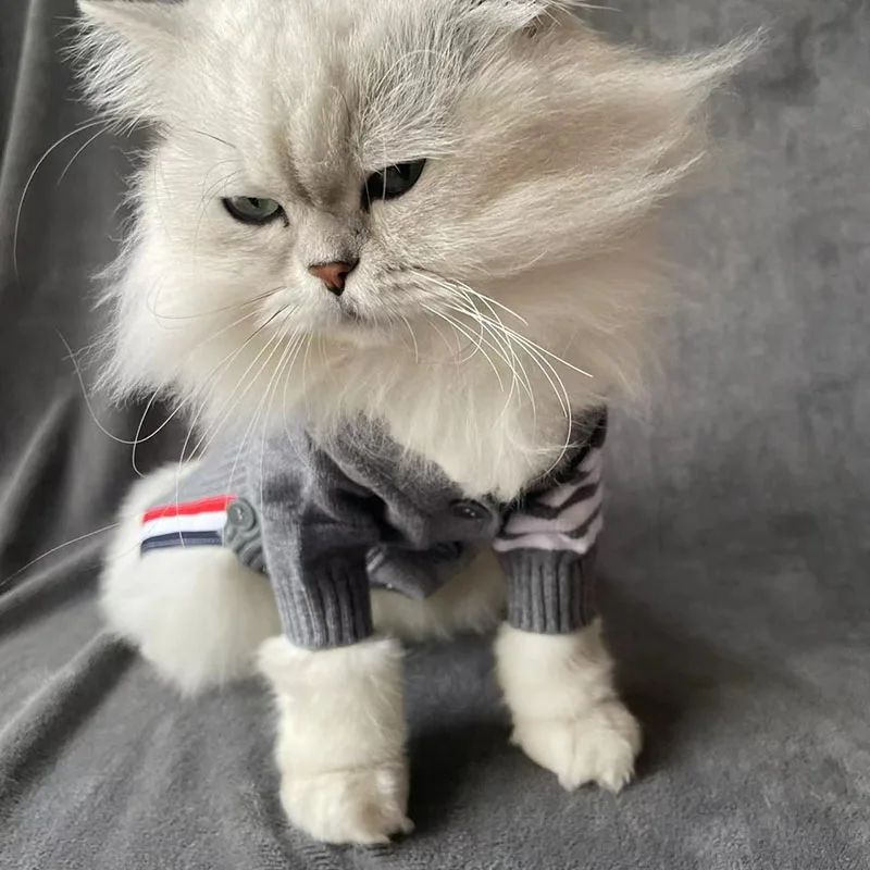 

Christmas Clothes for Large Dogs, French Bulldog, Luxury Fashion, Chihuahua Clothes for Small Dogs, Puppy Clothes, 2022