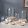Diameter=9cm Different Height 9*12cm 9*15cm 9*18cm 9*20cm 9*22cm 9*25cm Cylinder Glass Dome EVA Log Base Cover DIY Gift Wedding 4