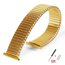 Universal Stainless Steel Elastic Stretch Watchband Replacement Bracelet - 16mm (Gold)