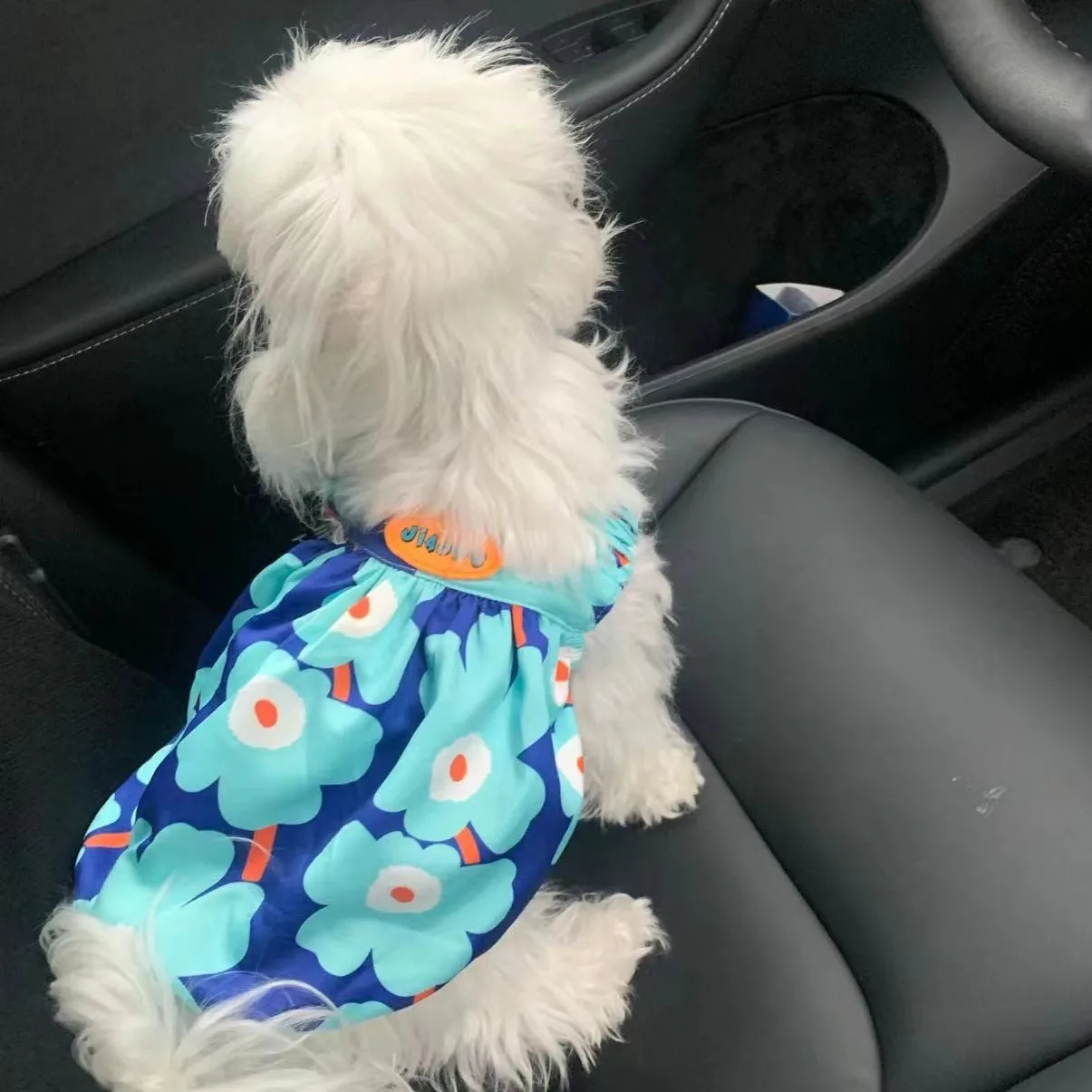 One piece, floral dog strap, spring and autumn pet bubble skirt, suitable for small/medium-sized dogs, breathable fabric, blue p