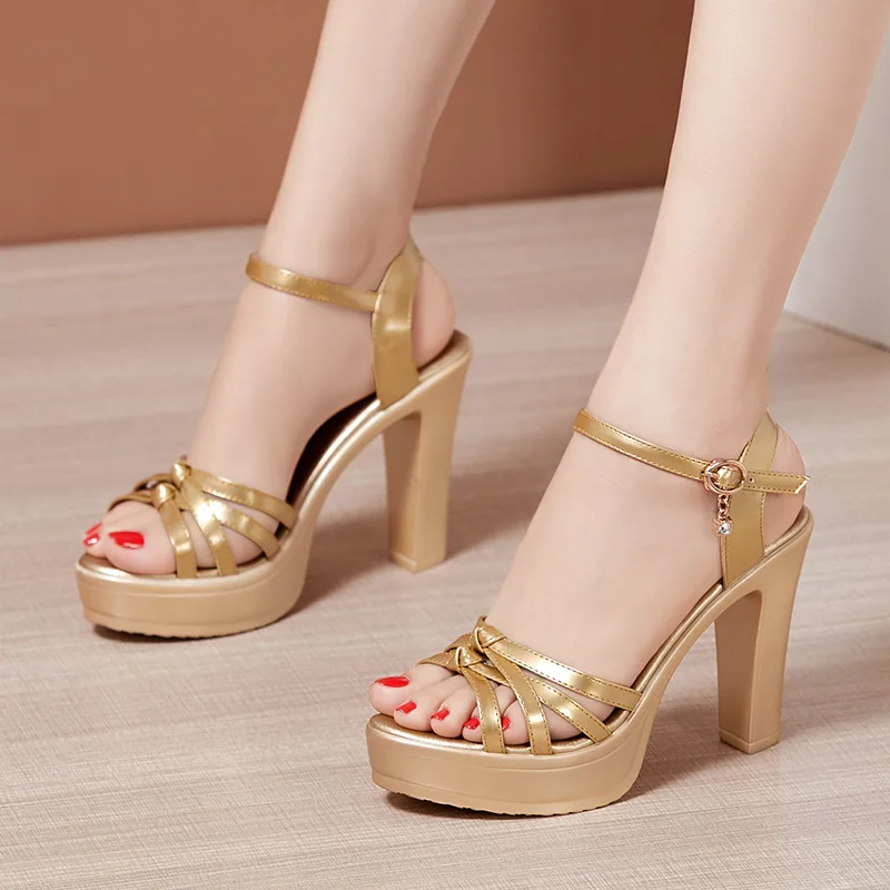 Big Size 32-43 Block Heels Platform Sandals Woman Shoes Summer 10cm High Heels Gladiator Sandals Women Sandals for Party