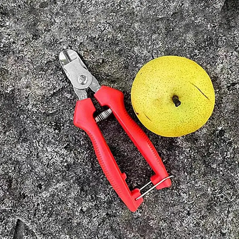 Slide image 91f96f44a77e4d51bad72792a7da67d0