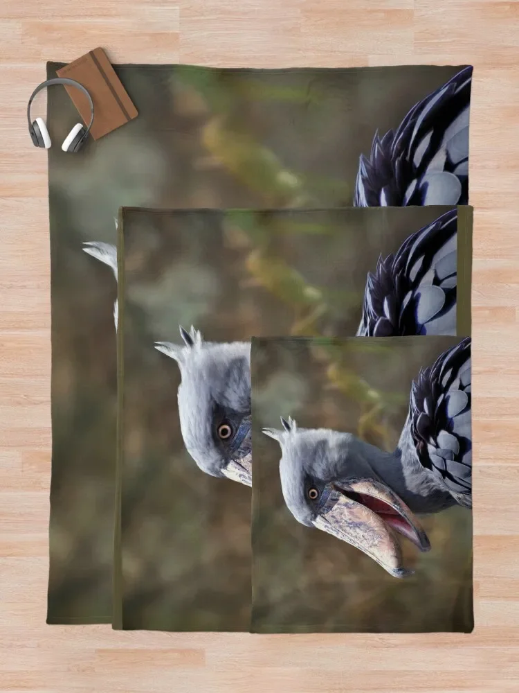ShoeBill ������ ���, �м� ����, ���� ħ�� ���