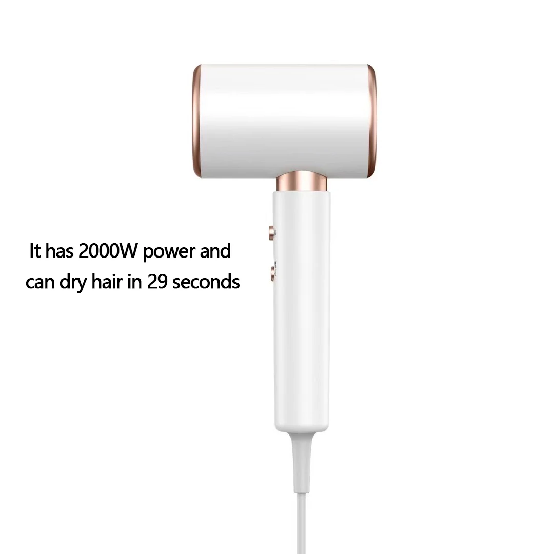 Professional Hair Dryer For Women Blue Light Negative Ion Hair Care Electric Brush 2000W High Speed Low Noise Dryer