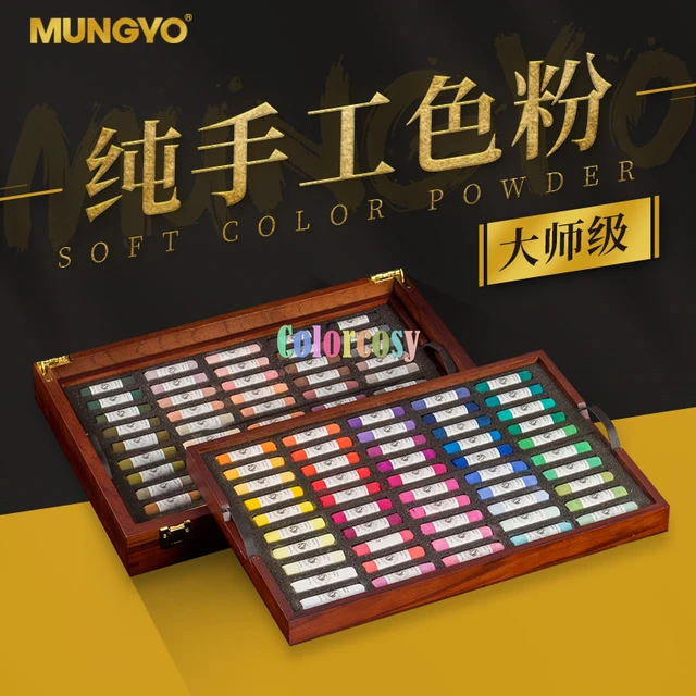 MUNGYO Gallery Artists' Extra Fine Soft Pastel 30 Colors for Professional  Artist