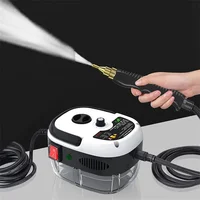 2500W 110V 220V High Pressure And Temperature Handhled Steam Cleaner For Air Conditioner Kitchen Hood Car Steaming Cleaner 1