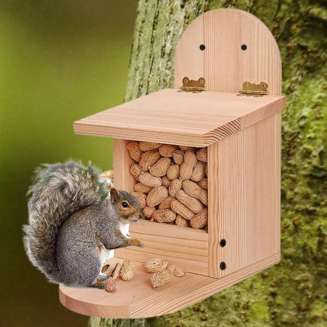 Boîte d'alimentation d'écureuil en bois, pour jardin extérieur, Stations d'alimentation  d'écureuil avec