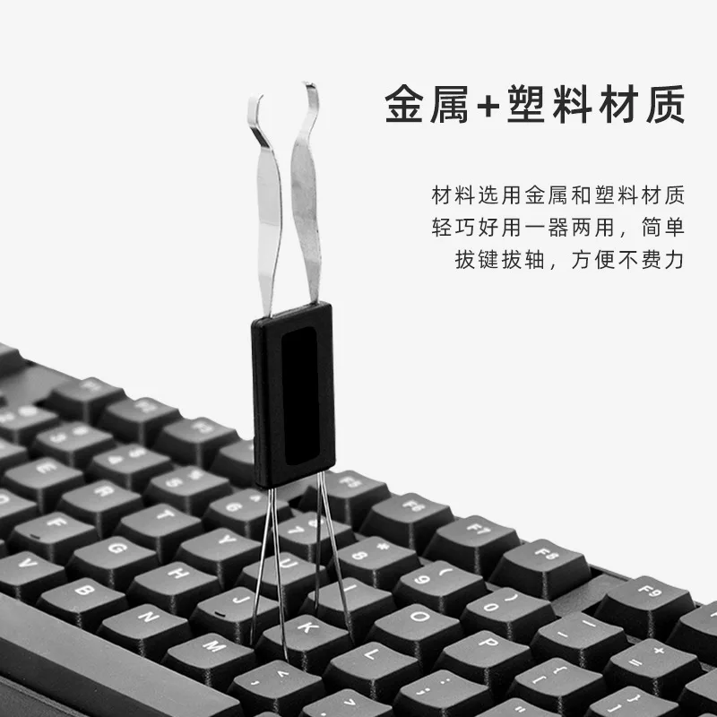 ǻ Ű û 귯 Ʈ, Ű ĸ Ű Ǯ,     귯,  ǳ  , 4 ǽ