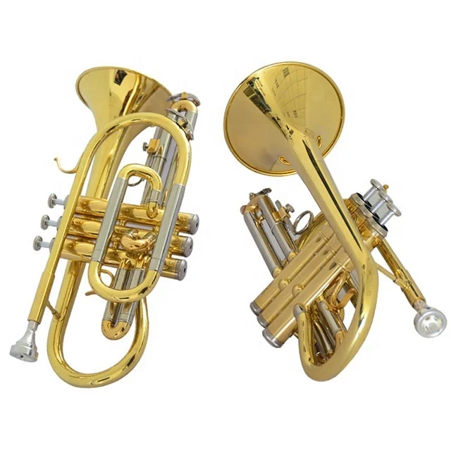 Bb Key Gold Cornet For Sale JYCT407