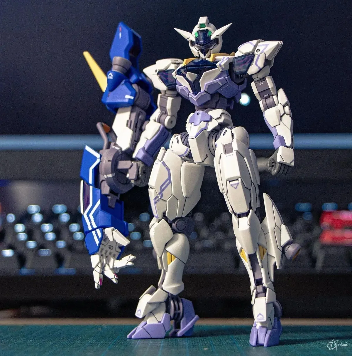 Collector’s Display