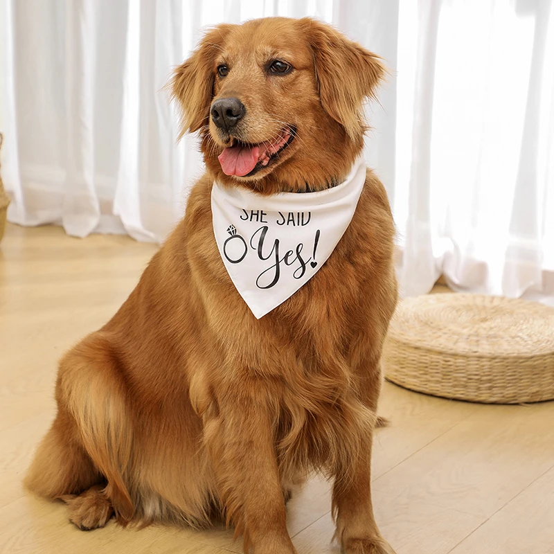 Title 7, Fashion Dog Wedding Triangle Bandanas Letter Pa...