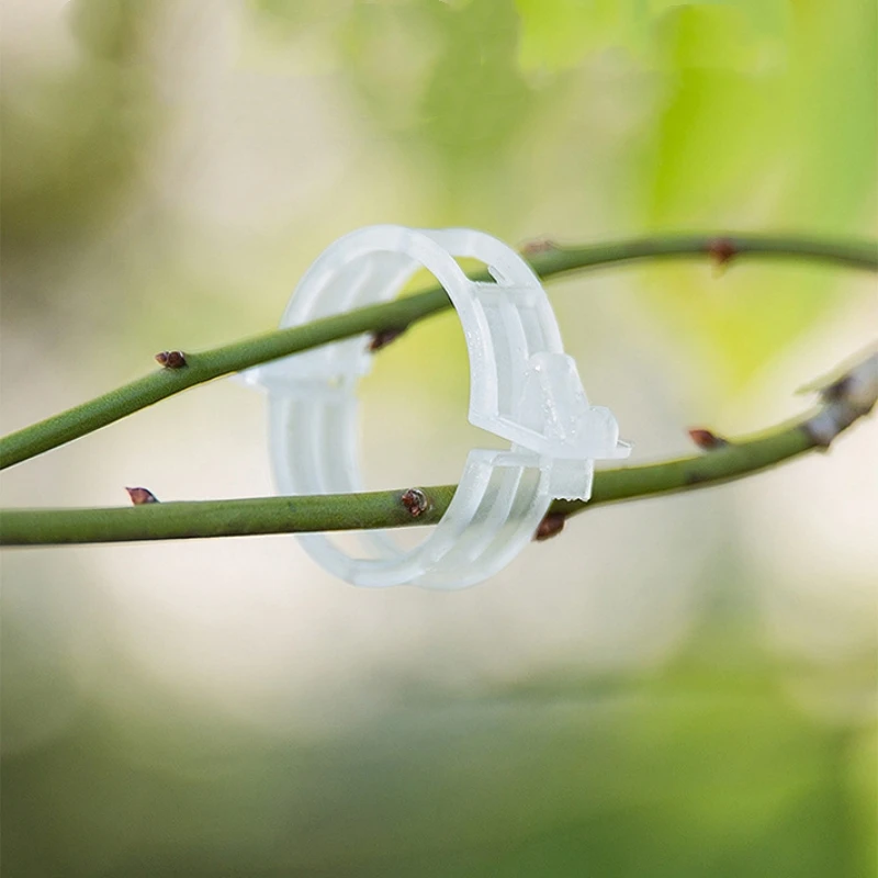 

50/100pcs Plastic Plant Clips Supports Connects Reusable Protection Grafting Fixing Tool Gardening Supplies for Vegetable Tomato