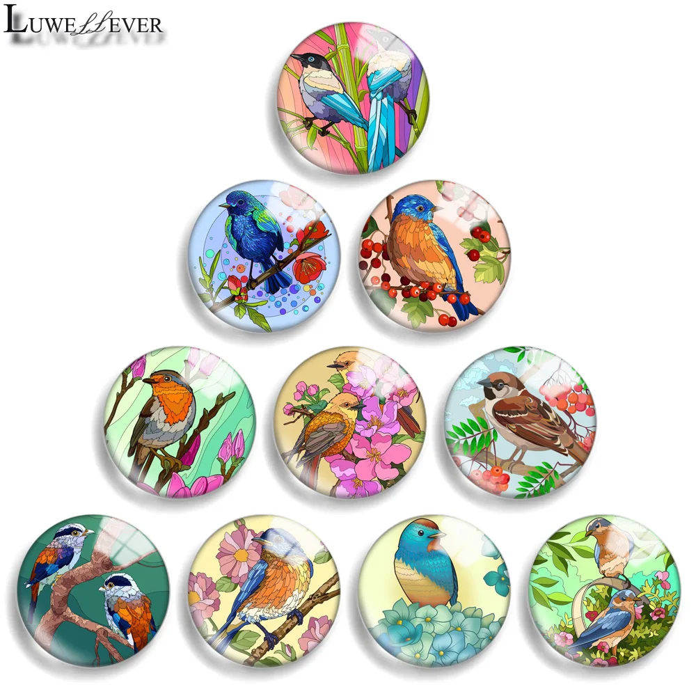 

12mm 10mm 20mm 25mm 30mm 40mm 836 Bird Mix Round Glass Cabochon Jewelry Finding 18mm Snap Button Charm Bracelet