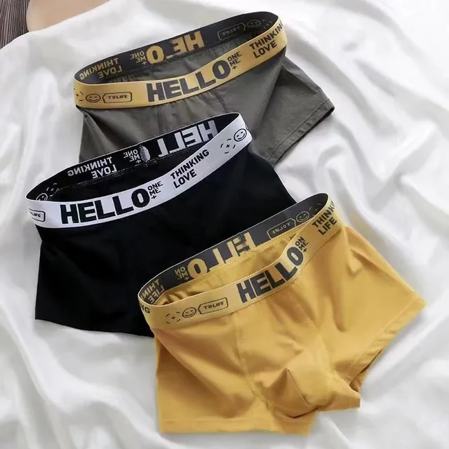 5 uds Boxer bragas hombres carta ropa interior bañadores Sexy ropa interior cómoda transpirable suave algodón bragas Boxer Shorts de talla grande 4