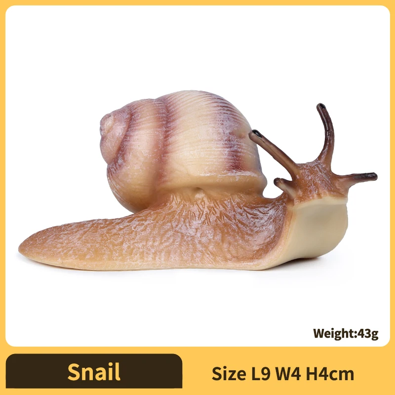 Realistic Snail Action Figure Toy - Collectible Animal Model, Educational Kids Gift