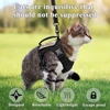 Tactical Cat Harness Leash with 2 Patches Set Puppy Vest For Military Small Dogs Pet Harnesses Working Training Cats Accessories 4