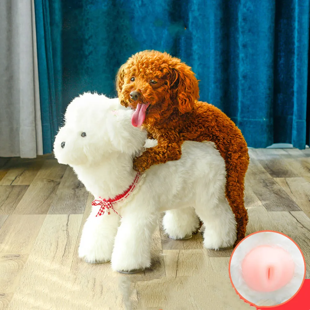 Poodle Mating lupon.gov.ph